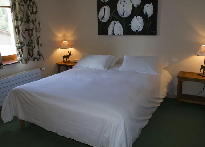 Отель Les Cigognes 3*