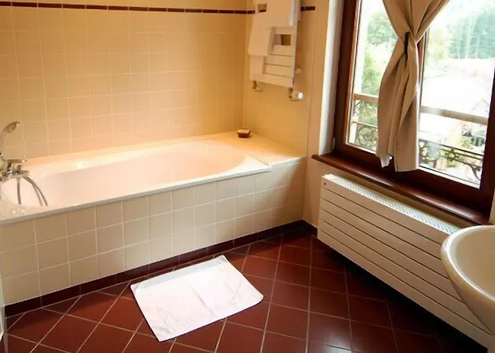 Отель Les Cigognes