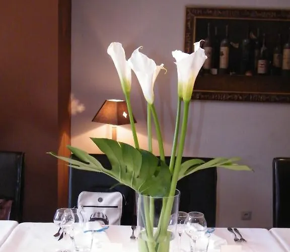 Les Cigognes Abreschviller